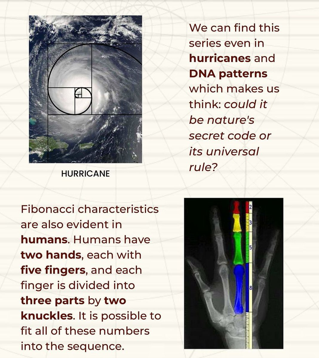 VKrishna_V's tweet photo. It's Fibonacci day https://t.co/1vL40DYx2w