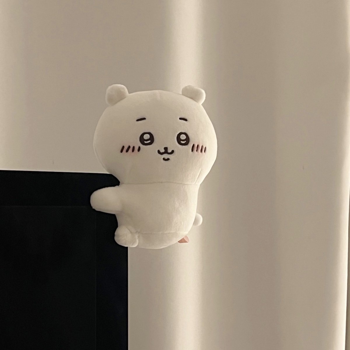 migolove_'s tweet photo. 처음 본 순간부터 모니터에 매달리게 하고 싶었어 https://t.co/gpLZmmMLBw