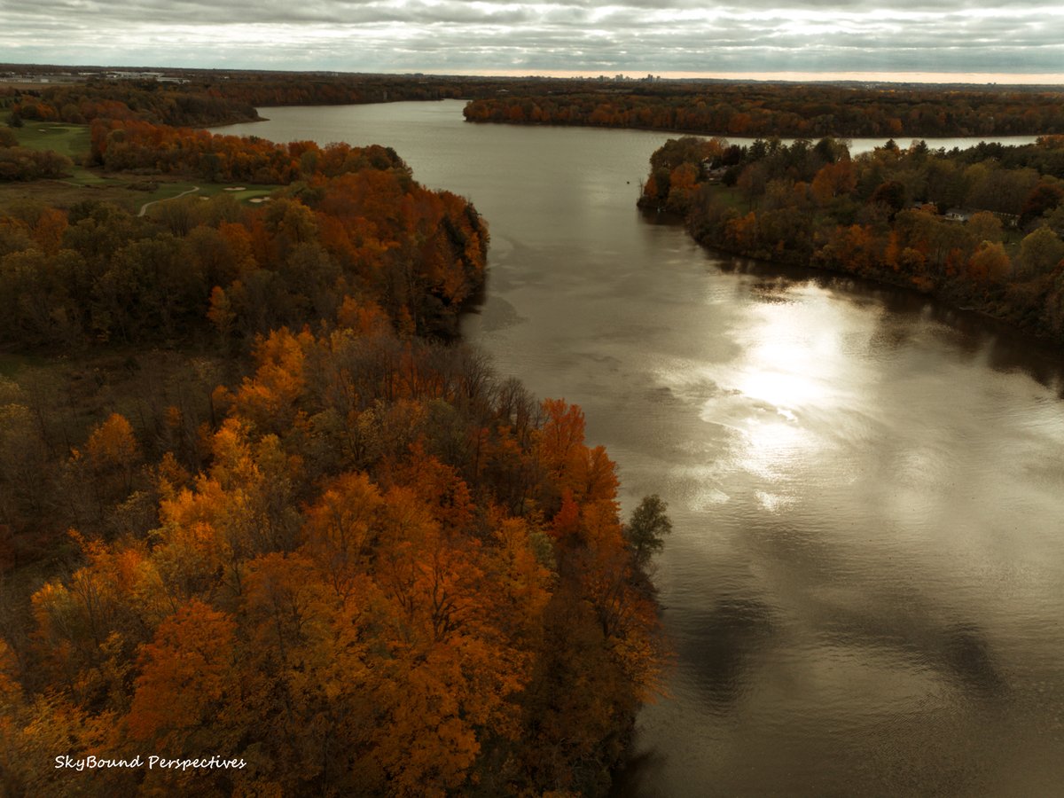 Skybound Perspectives tweet media