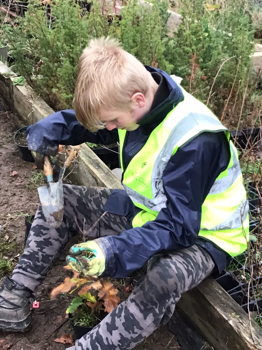 TirMorfa's tweet photo. Fantastic day with the Snowdonia Society planting acorns, potting on oak trees and weeding in Abergwyngregyn #ytmfamau #ytmwellb #ytmsctech #ytmHCI @Snowdonia_Soc https://t.co/cKbXYg1O8C