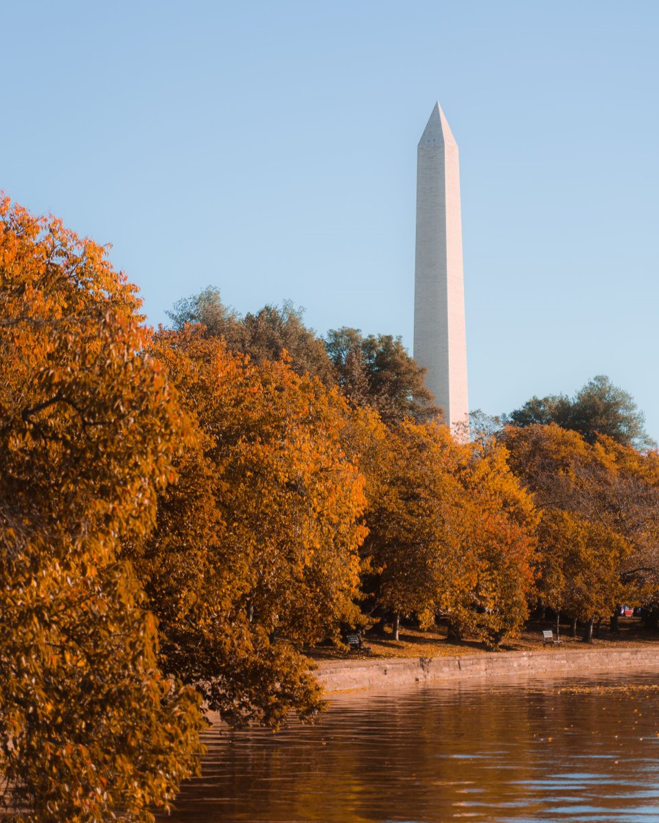 #DestinationDC wishes you and yours a happy Thanksgiving from #WashingtonDC! ❤️🦃🍂