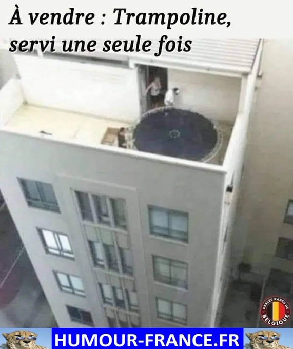 text alternatif