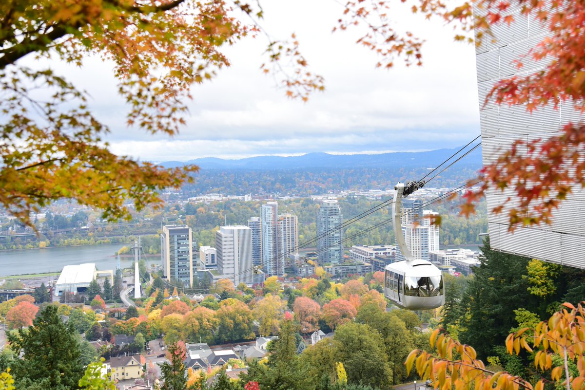 🌲 🍁 🍂 🍃 #OHSU