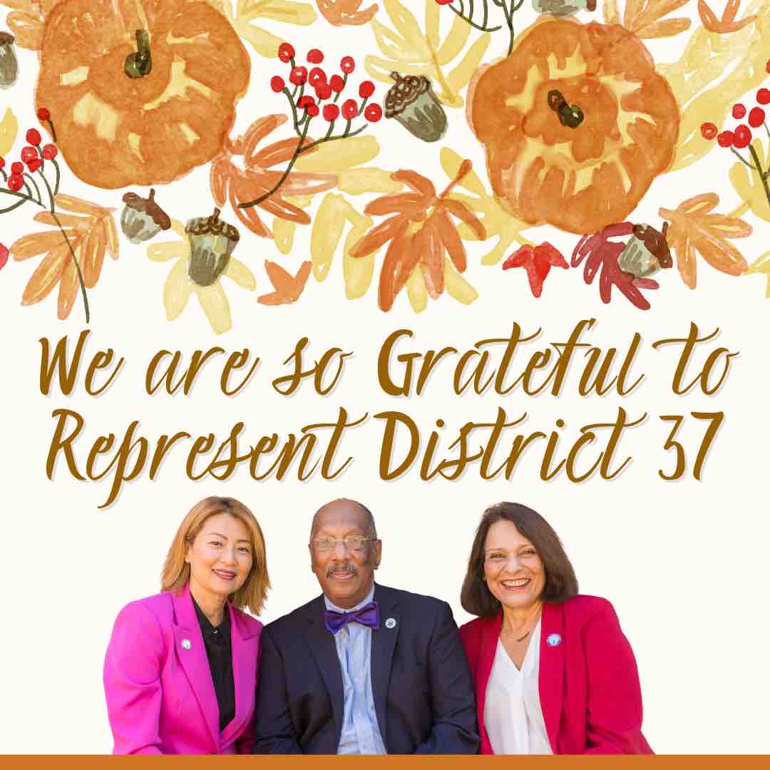 Johnson, Haider, Park for District 37 tweet media