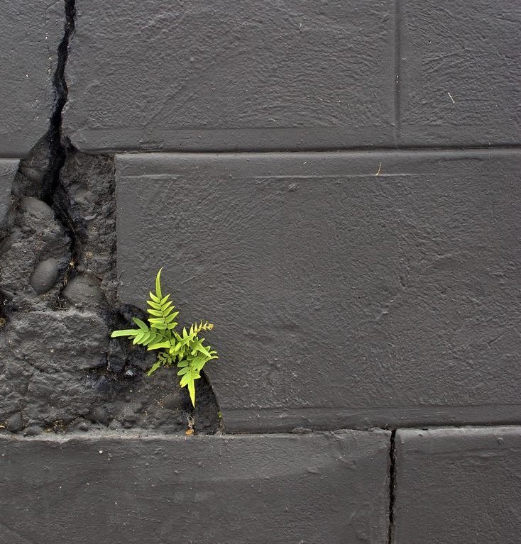 🇮🇷 رویاساز tweet media