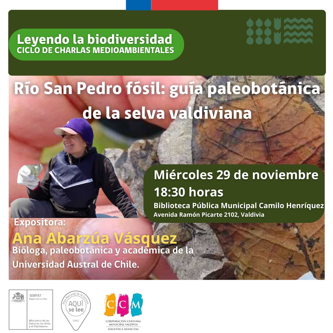 Red Bibliotecas Públicas Los Ríos tweet media