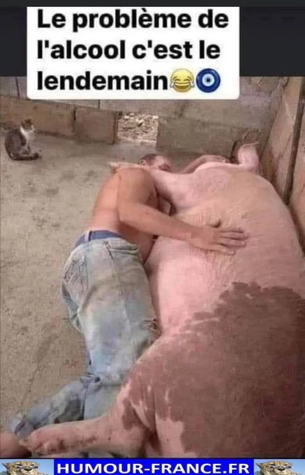 text alternatif