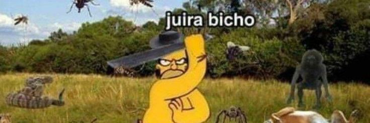 estoy harta de los mosquitos ya