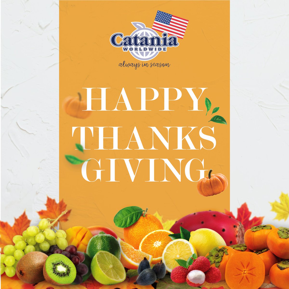 Cataniaww's tweet photo. HAPPY THANKSGIVING! 🍂✨🎉

#thanksgiving2023 #thanksgivingday #turkeyday #thankful #grateful #blessed #CataniaWorldwide #AlwaysinSeason https://t.co/ykEHiIi50W
