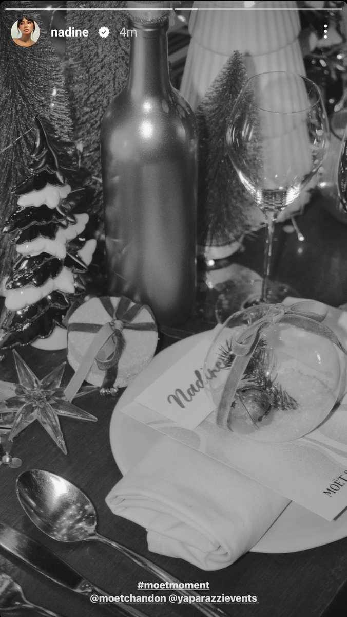 NaddictsOfc's tweet image. #moetmoment @moetchandon @yaparazievents #NadineLustre 

📷 231123 nadine's IGS