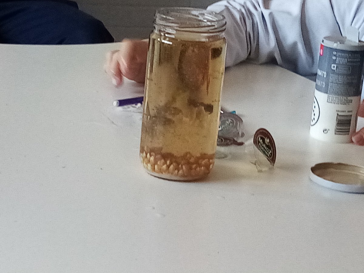 CCMiramadrid's tweet image. Hemos estado celebrando la Semana de la Ciencia en el Colegio. Nosotros también hemos realizado un experimento muy interesante. ¡El maíz bailarín! 🌽

¡Nos lo pasamos genial aprendiendo!🔬👩‍🔬

#colegiomiramadrid #miramadrid #googlereference #semanaciencia #ciencias #auladeapoyo