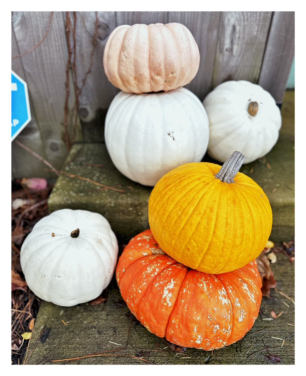 SLIMEMCEE's tweet photo. As you celebrate Thanksgiving, forget not to acknowledge the Native Americans and the aspect of mourning. https://t.co/OC3LMaTIQt