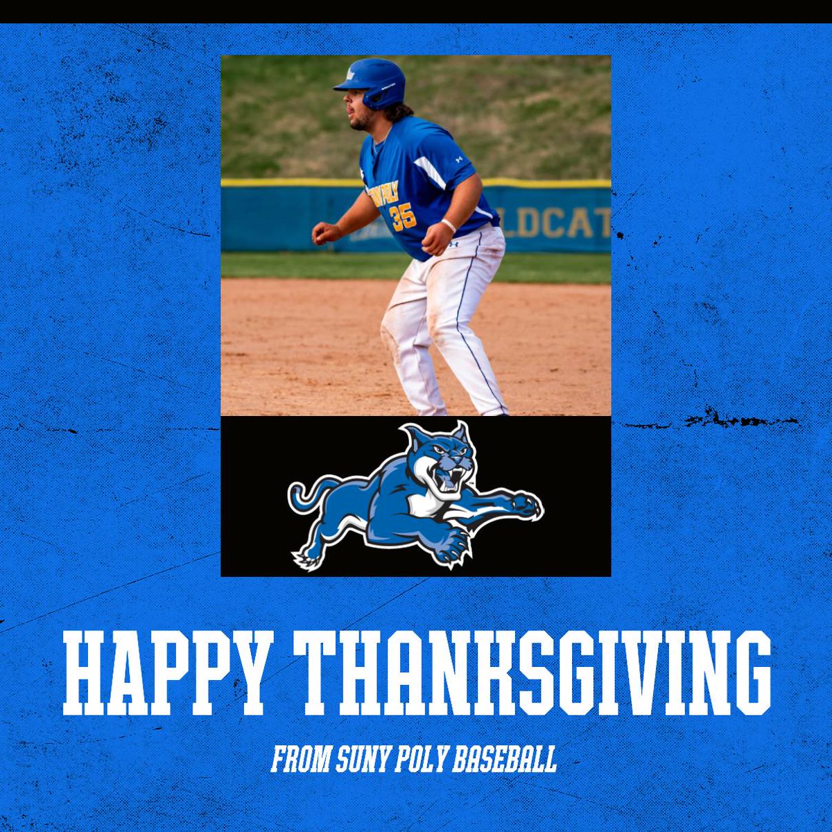 SUNY Poly Baseball tweet media