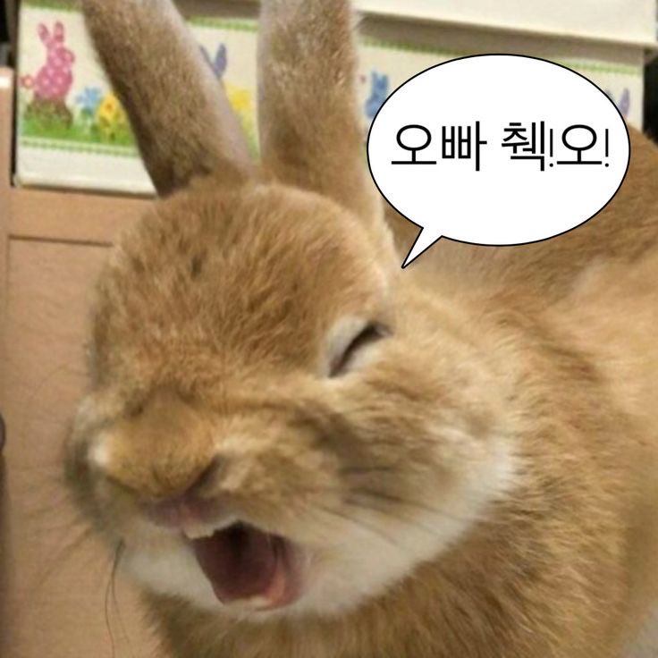 umluv_'s tweet photo. #아미트친소

신탁판 아미랑 트친해주세요  ( •́ •̀ )
방놀만큼은 기깔나게 말아드립니다 https://t.co/vkoQKtuHWF