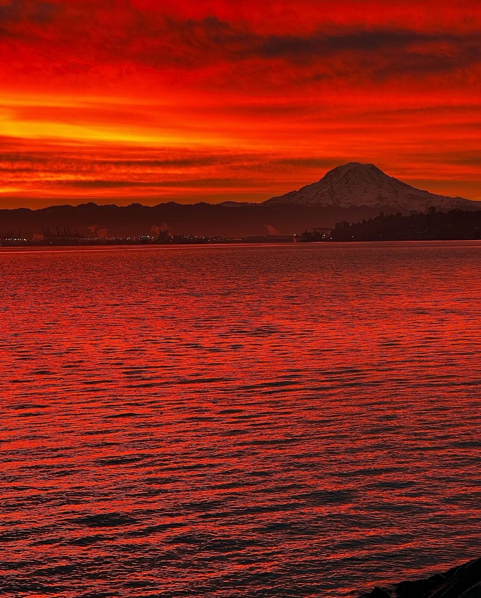 visitpierce's tweet photo. ✨G R A T E F U L ✨
📸 @scenic.obsessed
#happythanksgivng #gratitude #givingthanks #gratefulness #family #community #travel #fullheart #safetravels #thanksgiving #thanksgivingtravel #pointruston #cityoftacoma #gritcity #rainierwatch https://t.co/y7ilsh9Dxf