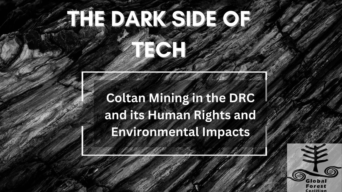 GFC_forests's tweet image. ⛏️ Coltan mining in the DRC, and extractivism in general, is a driving force in mass oppression, human rights abuses, and environmental damage. 🇨🇩

🪨 Here are some of the key points from a paper we published recently on extractivism in the #DRC 

🔗 globalforestcoalition.org/the-dark-side-…

🧵