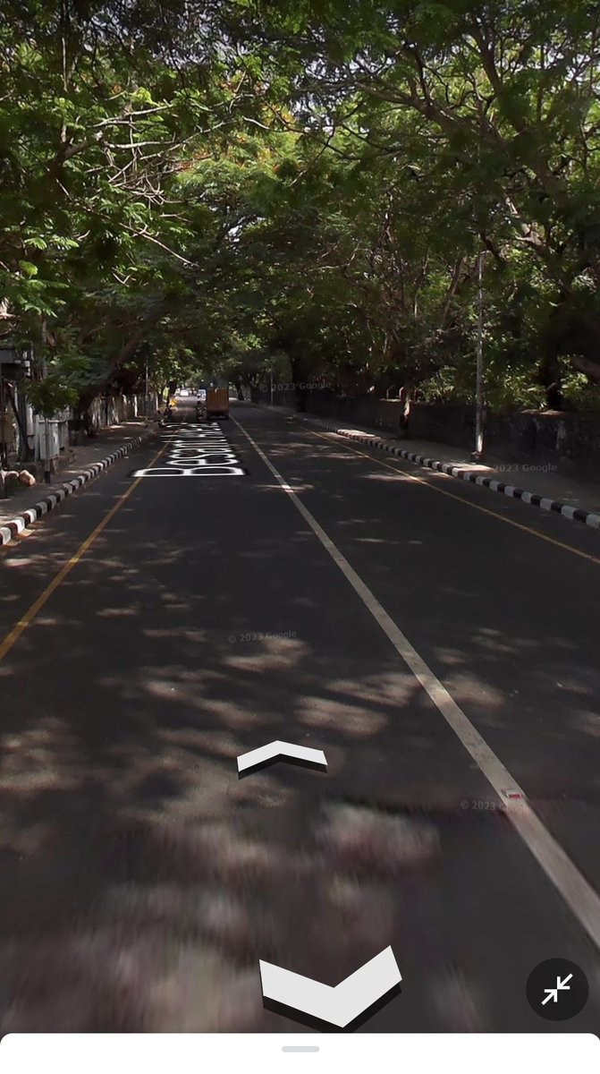 karthi9003's tweet photo. You gotta visit Besant Avenue Road. Even at 1PM in a peak summer day, you won't see sunlight hitting the ground ❤️ https://t.co/oKdoKUSIzv