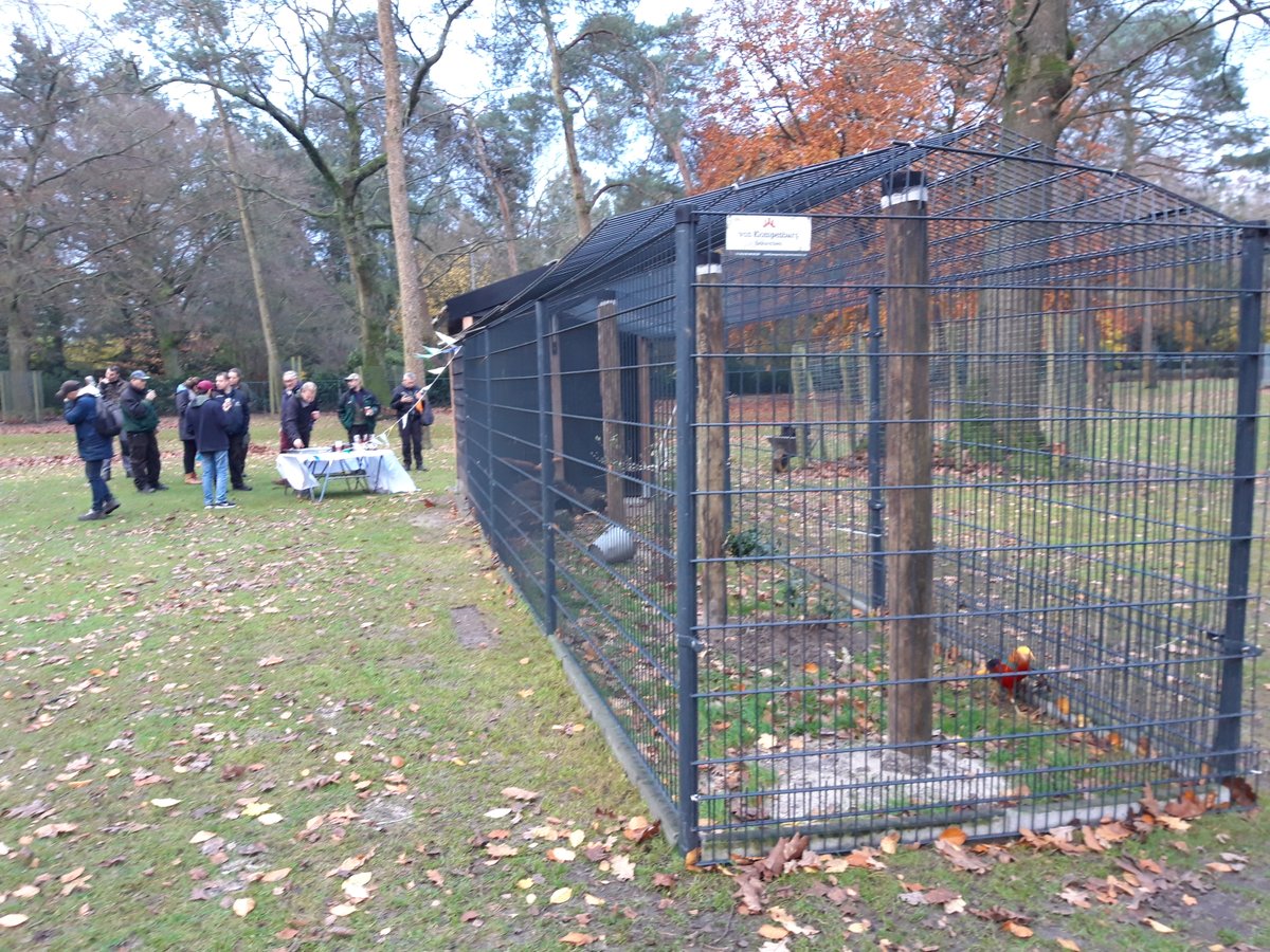 ErmeloVanNu tweet media