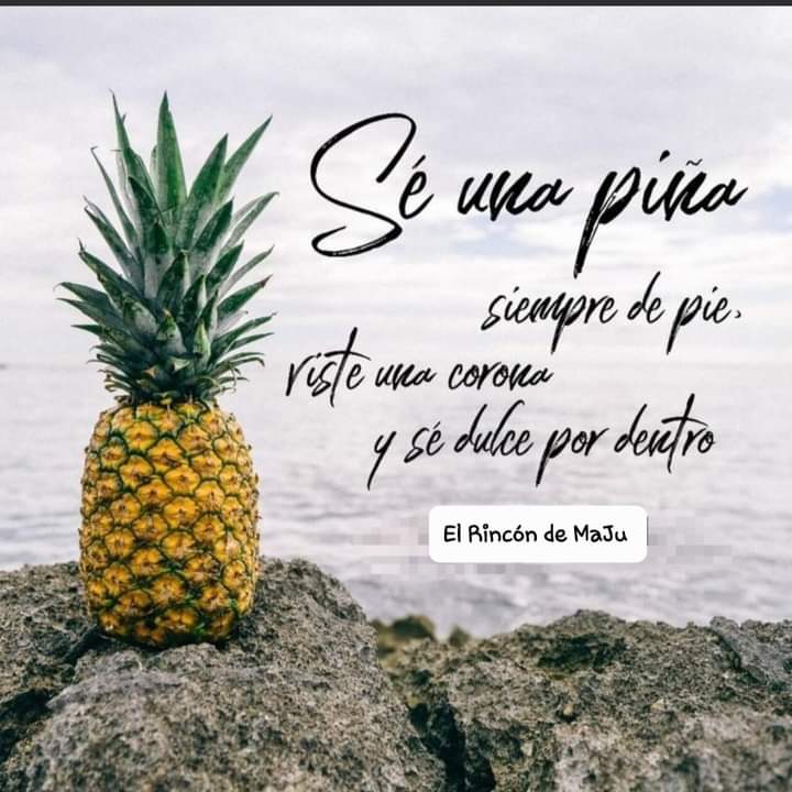 🌻🌻Alondra Hernández🌻🌻 (@alondragtzhdz) on Twitter photo 