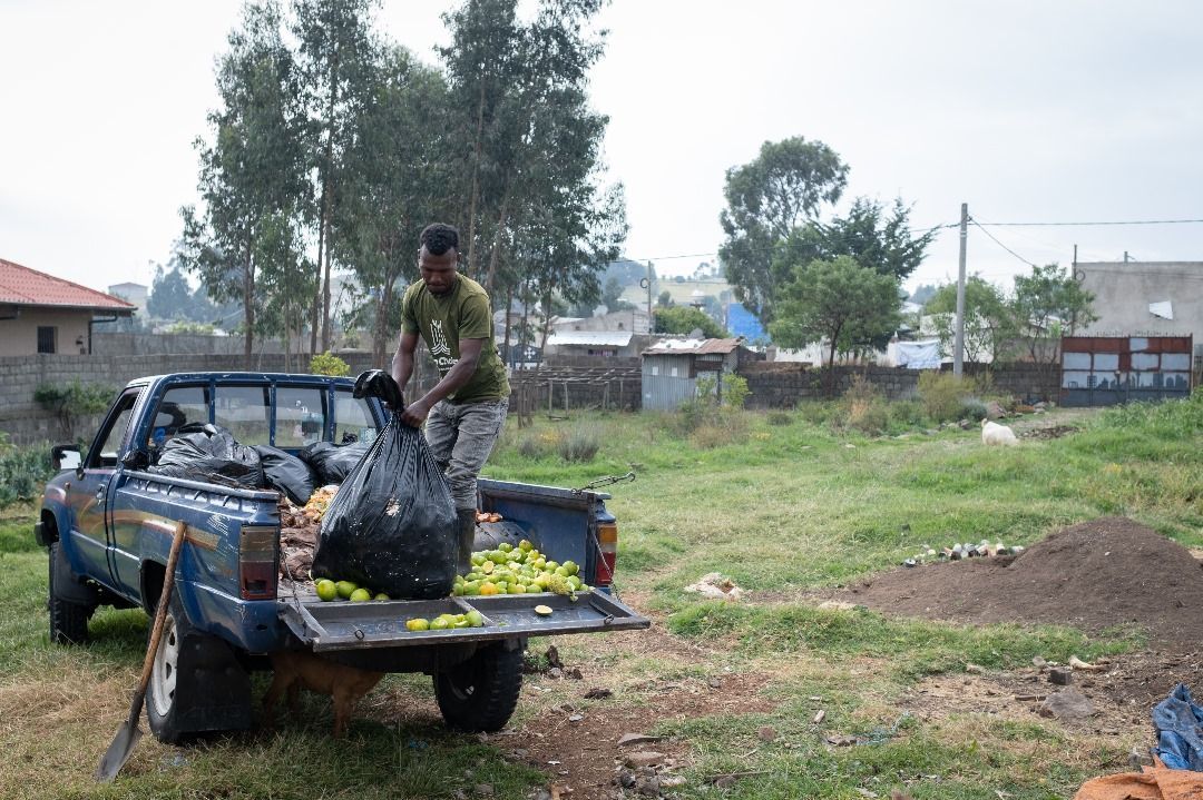 LPI_voices's tweet photo. We're excited for our first photojournalism in the Horn of Africa Bulletin! Discover Lem Chaka, an Ethiopian food waste company, via @ghostttii narrative &amp; visuals. Discover their journey tackling food waste influencing the environment &amp; community welfare.
https://t.co/W2nWQnEv9F https://t.co/8guhk8Yybd