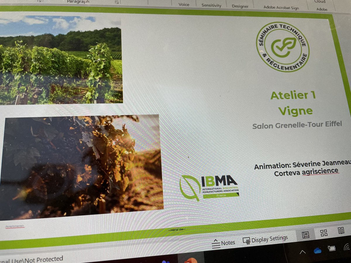 severine jeanneau tweet media