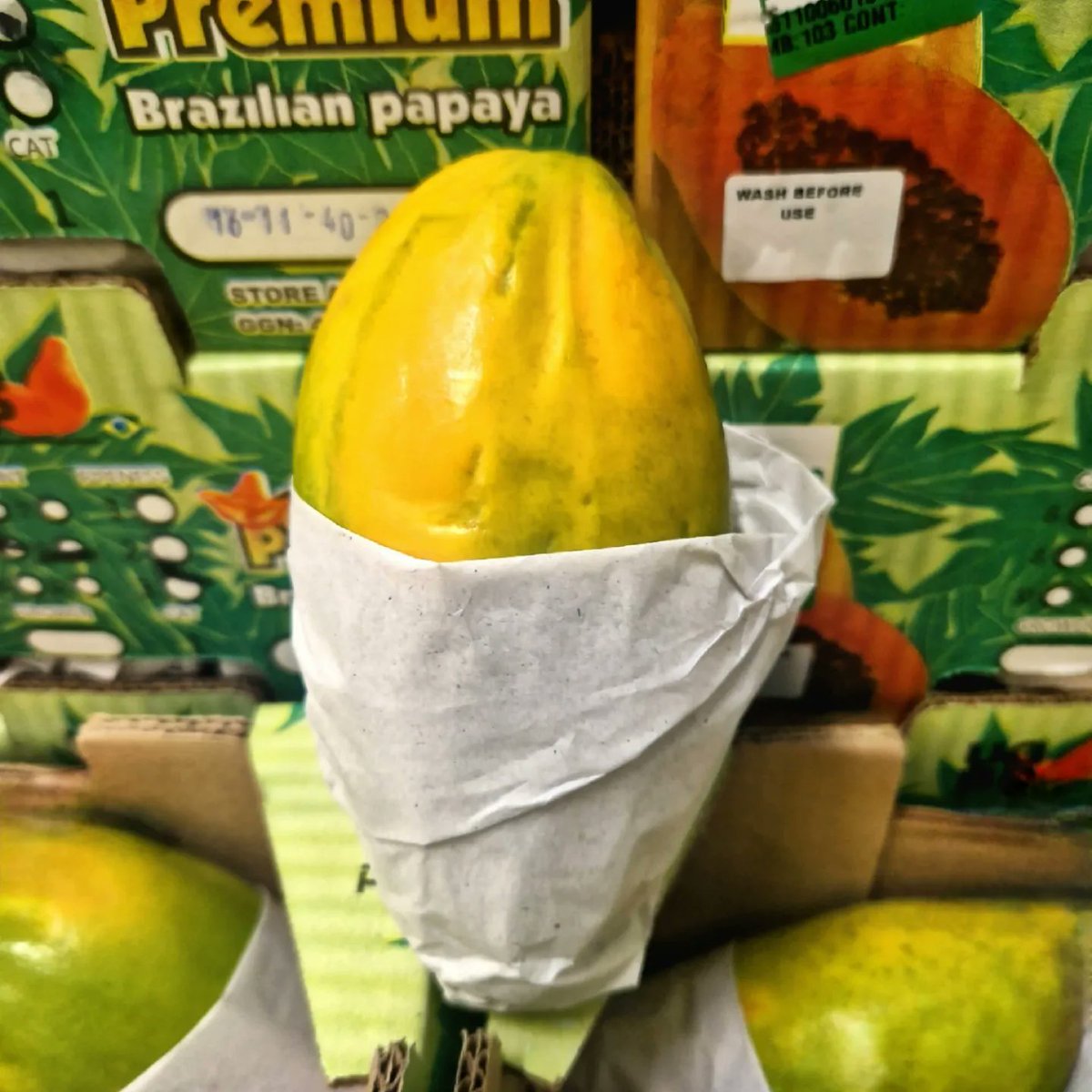 Planetproduce's tweet photo. Gold has never looked more edible. ๐ช Today's arrival of beautiful, yellow Turkish ๐น๐ท quince and Brazilian ๐ง๐ท golden papaya is enough to make your mouth water.
#planetproduce #exoticproduce #exoticfruit #papaya #goldenpapaya #quince #fruit #produce https://t.co/nW2Vq9ZEzs