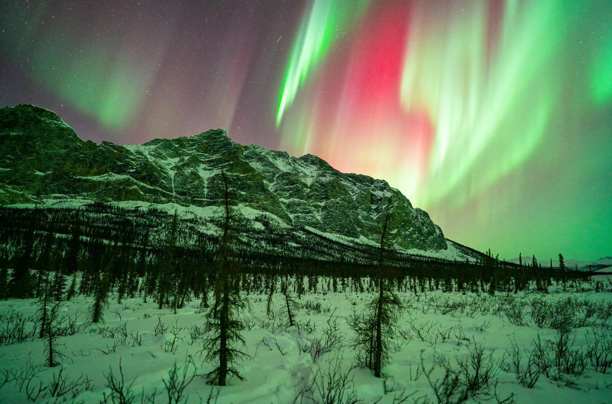 The aurora is in the Christmas spirit here in Alaska, that's for sure :)