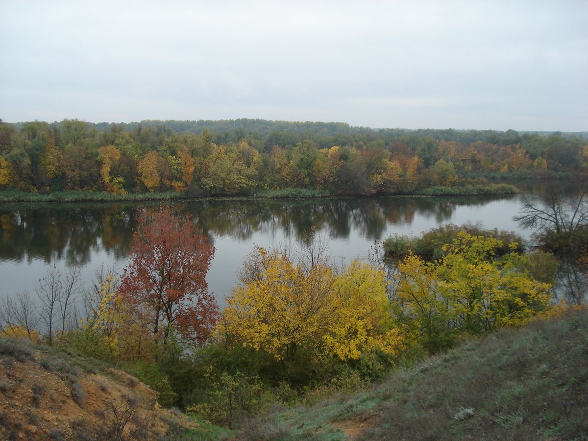 Aleksandr X tweet media