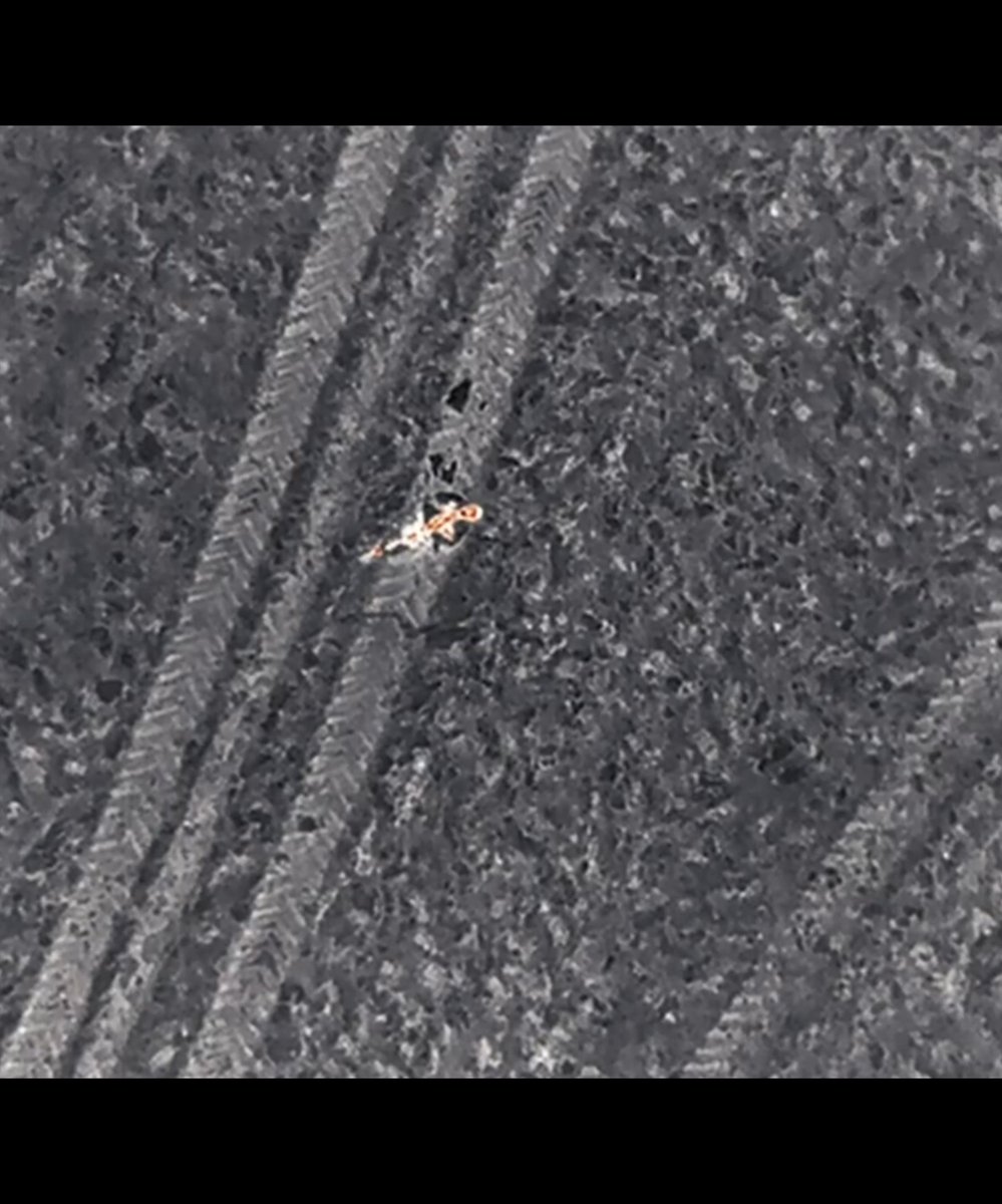 Нашли, живой! С воздуха

vk.com/video-40062267…