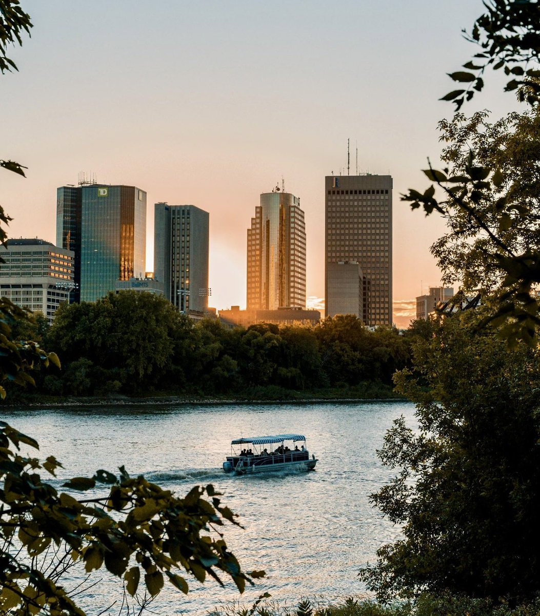 Temur Durrani tweet media