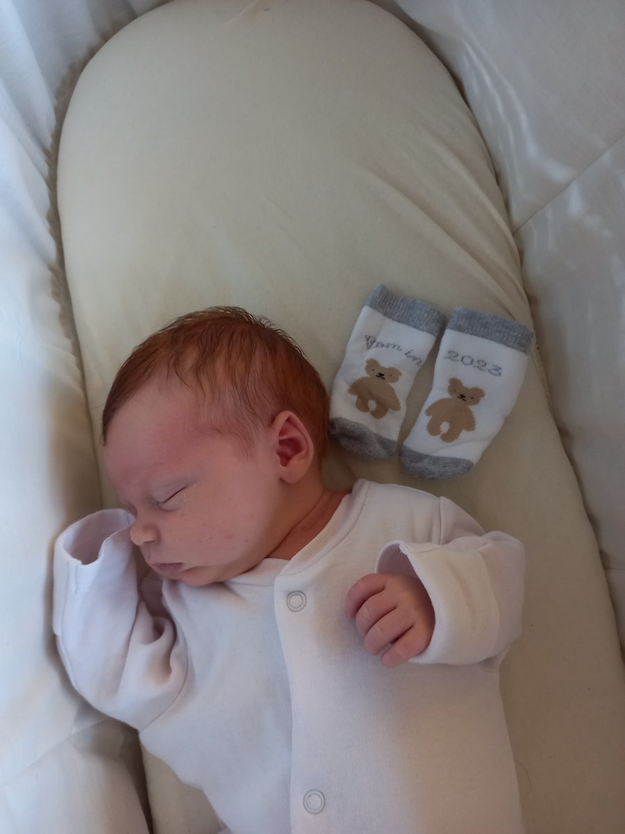 Heth_100's tweet photo. Not long to go until #seasonalsocks time. There might less frequent posts this year but Edward is keen to participate, even if he's currently refusing to keep his baby socks on... https://t.co/qqfHeNHJth