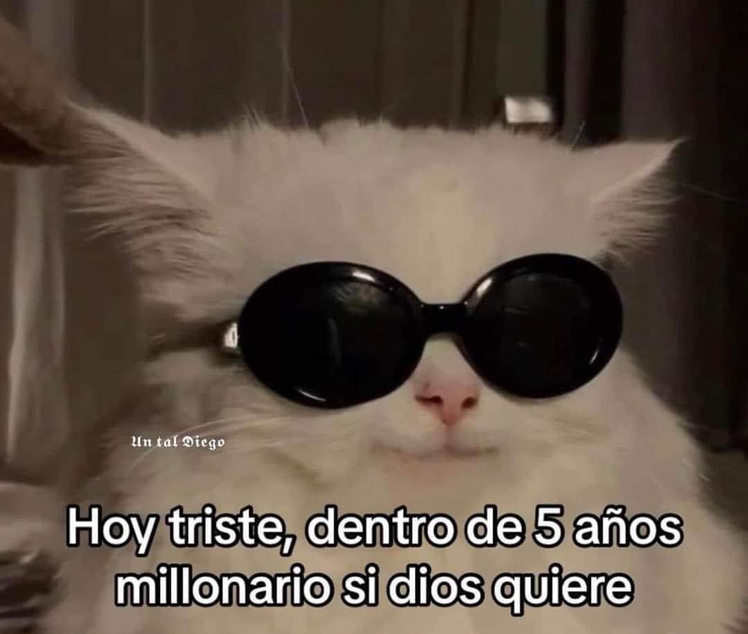 conejodebelen's tweet photo. https://t.co/OB3mhIUY7P
