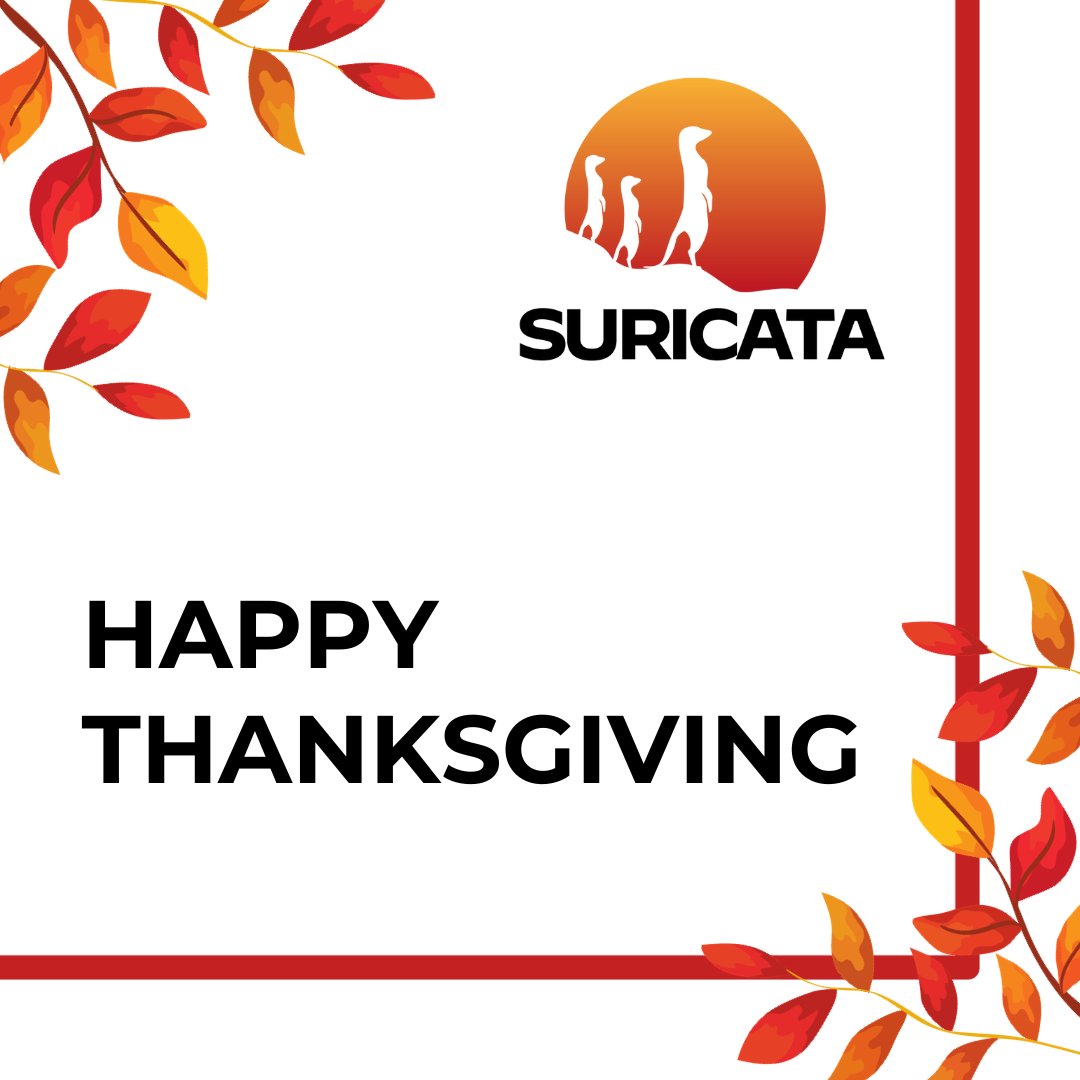 Happy Thanksgiving from the team here at Suricata! We hope you enjoy the holiday with friends and family. 🦃