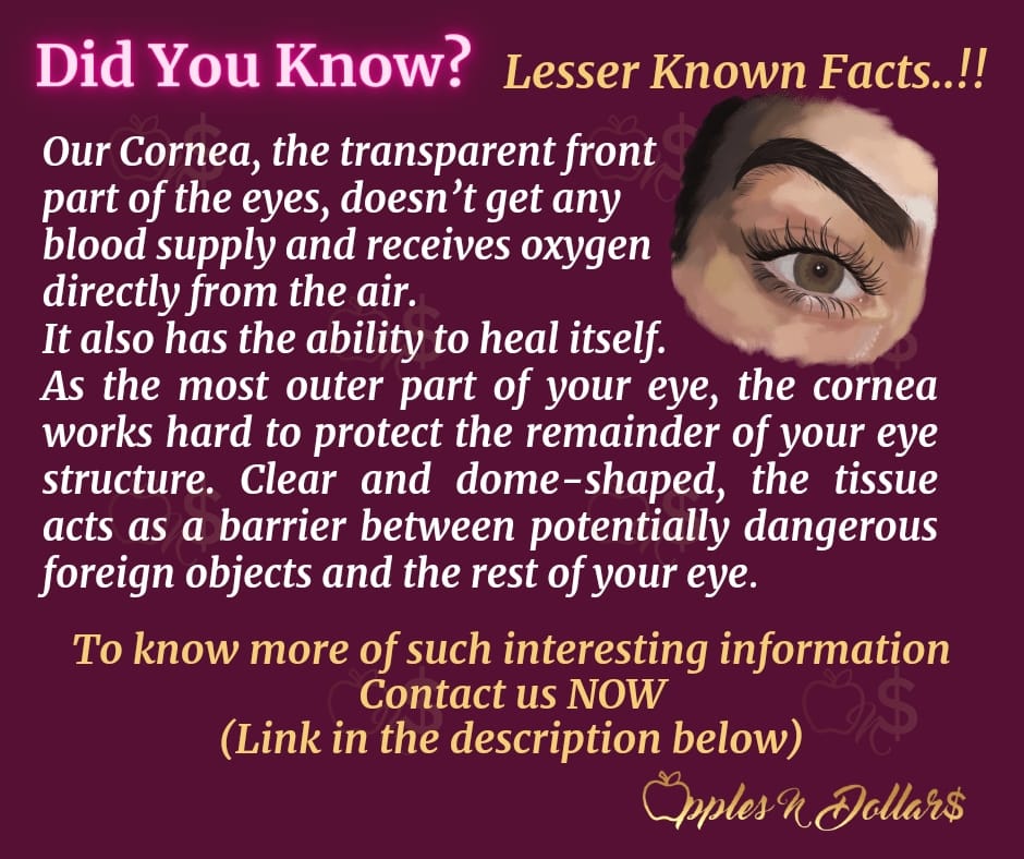 applesndollars's tweet photo. Did You Know?

#206

Lesser Known Facts 

Click on the link below to enable us to reach you asap!
https://t.co/2ZsVjD0KNg

Follow Apples N Dollars for exciting content!

#applesndollars
#applesndollarsdyk
#lesserknownfacts
#cornea
#oxygen
#protection https://t.co/onrIemZ9vX