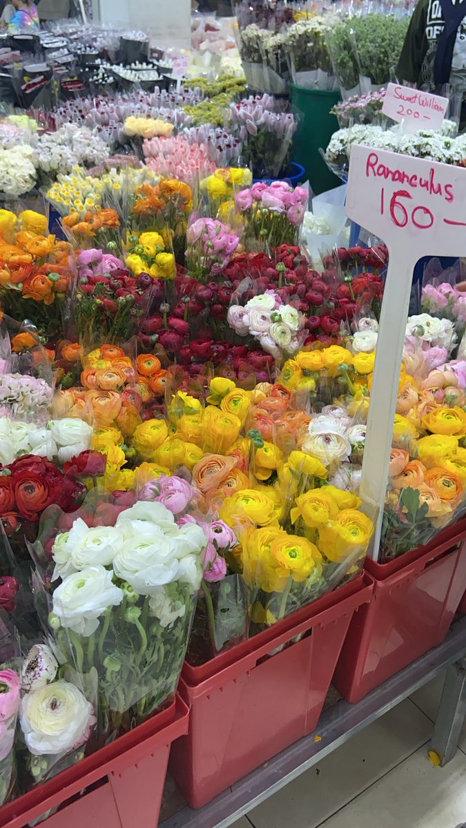 carrot bagel tweet media