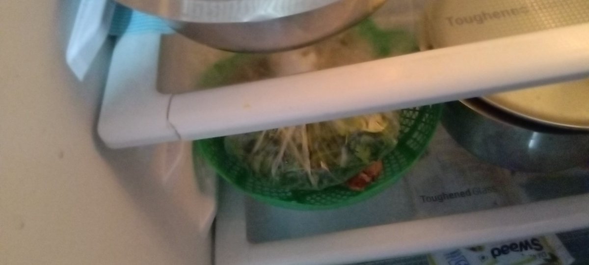 Conifernb's tweet photo. @LGIndia I bought a fridge in 2019 but your product is not able to tolerate cold. The glass frame is breaking due to frost.
For your reference i attached some pic of my refrigerator. I waiting your reply. https://t.co/Uau8rY0ZJr