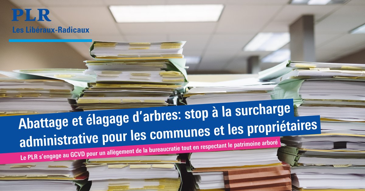 Abattage et élagage d’arbres : Le #PLR demande un processus simplifié pour les communes et les propriétaires tout en respectant le patrimoine arboré. 

Lire notre communiqué 👇

plr-vd.ch/actualites/com…