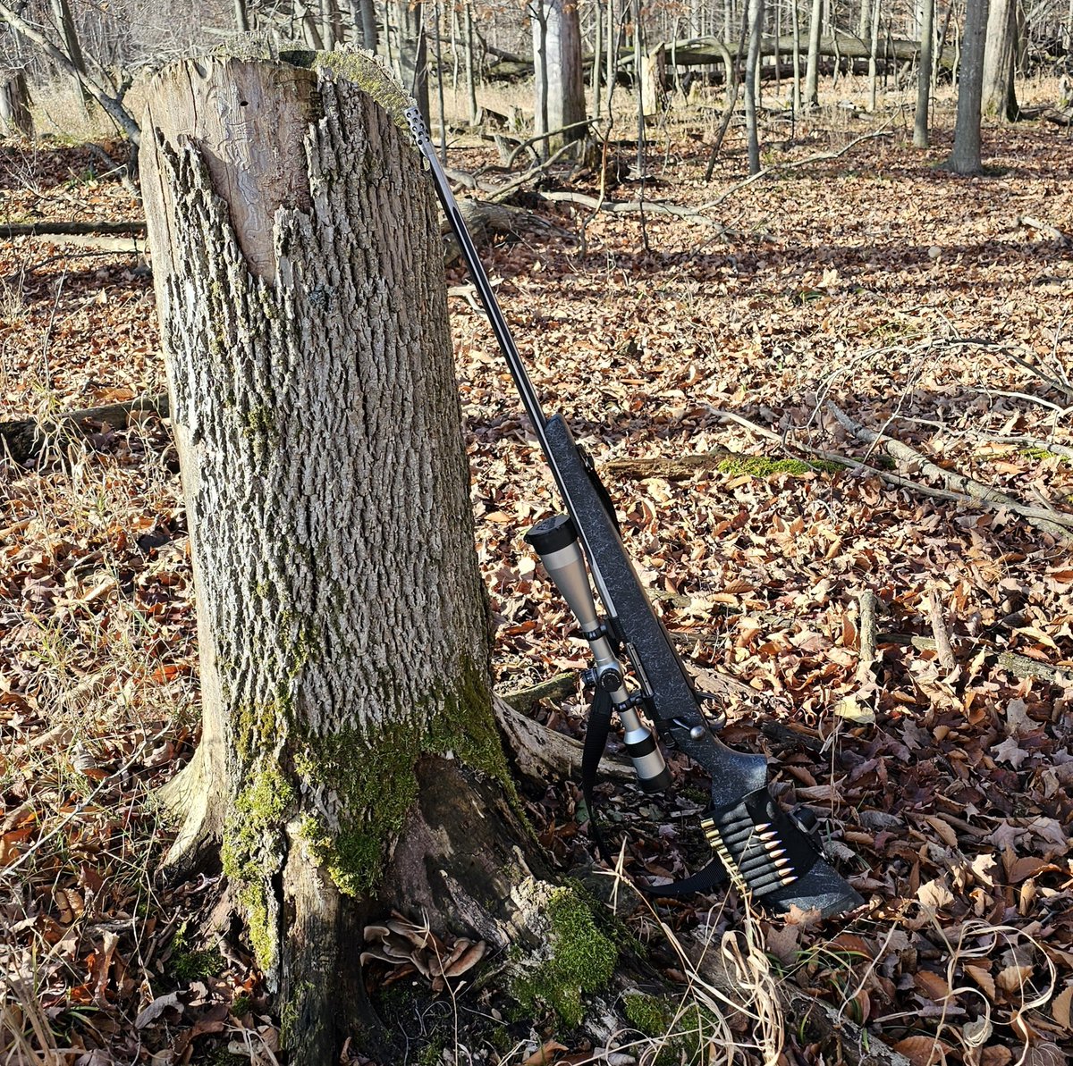 The Deerslayer chilling in her element. 
#Thanksgiving   
#WhiteTailHunting
#Trump2024