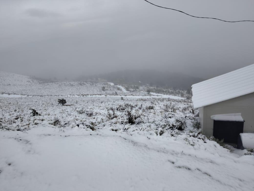 adnnoticiasmx's tweet photo. ¿Apoco no parece escenario de una película navideña? 🎄❄️

Así amaneció el Nevado de Toluca tras las bajas temperaturas de ayer y hoy en la madrugada  🗻🌨️ https://t.co/Nbmitxny9z