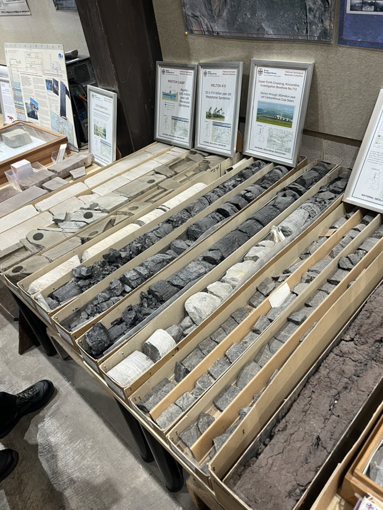 Becca Tanner tweet media