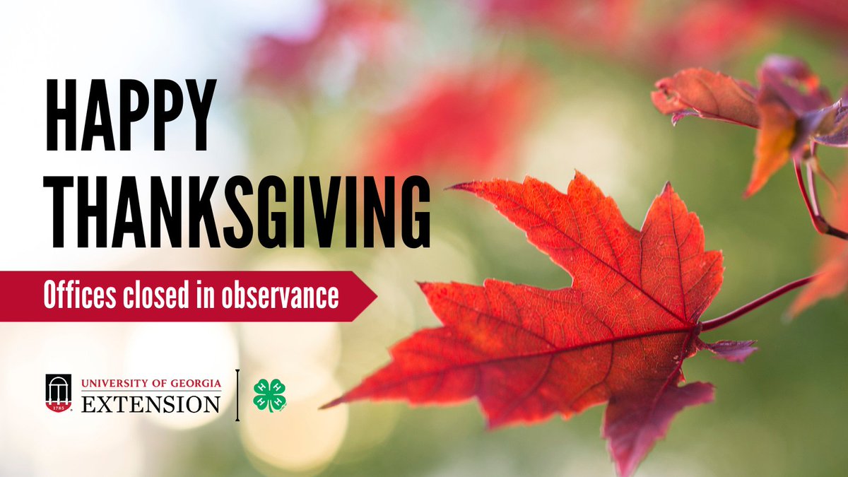 Happy Thanksgiving from UGA Extension. We are thankful for all of YOU and hope you are able to spend quality time with family and friends during this holiday break. 🍁 🦃