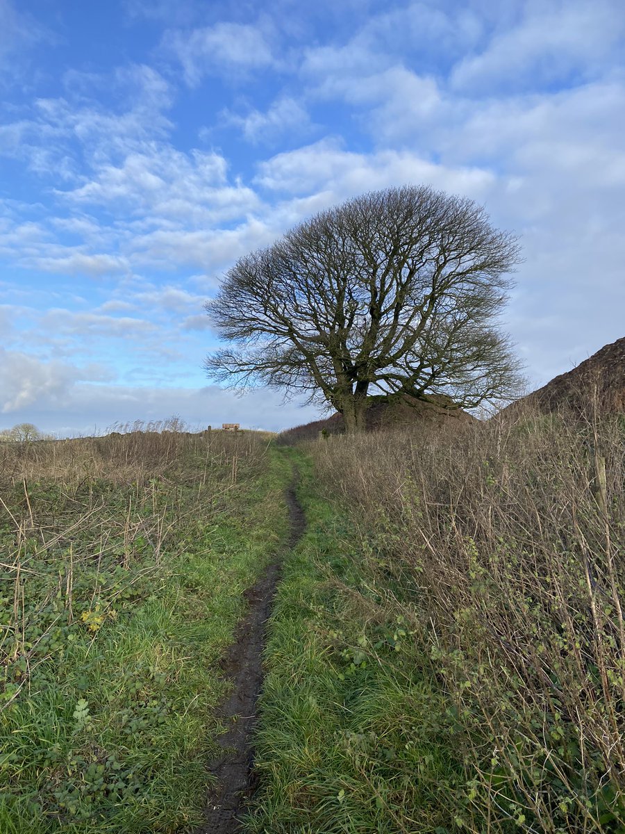 peakrunner47's tweet photo. Gorgeous blue ๐ฉตsky today at last ๐. Today has got to get me through the next few work days ๐ #MiddTop #HarboroRocks #HPT https://t.co/Ttg3YTbhhS