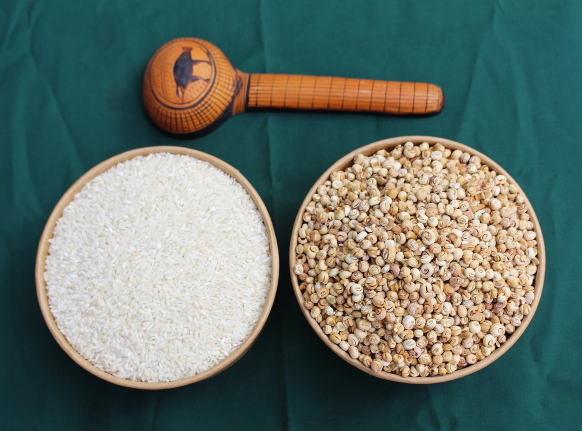 Remplacez de temps à autre votre plat de riz par un plat de hanza !

Vous aurez 3 fois plus de protéines, 14 fois plus de fibres alimentaires, 5 fois plus de lipides, 60 % plus de Vitamine B9, 40 % plus de Fer et 90 % plus de Zinc.