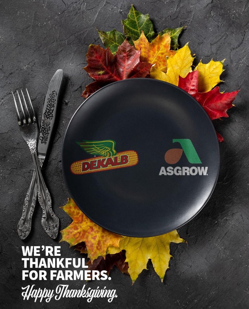 Mike Podany (@podanym) on Twitter photo 