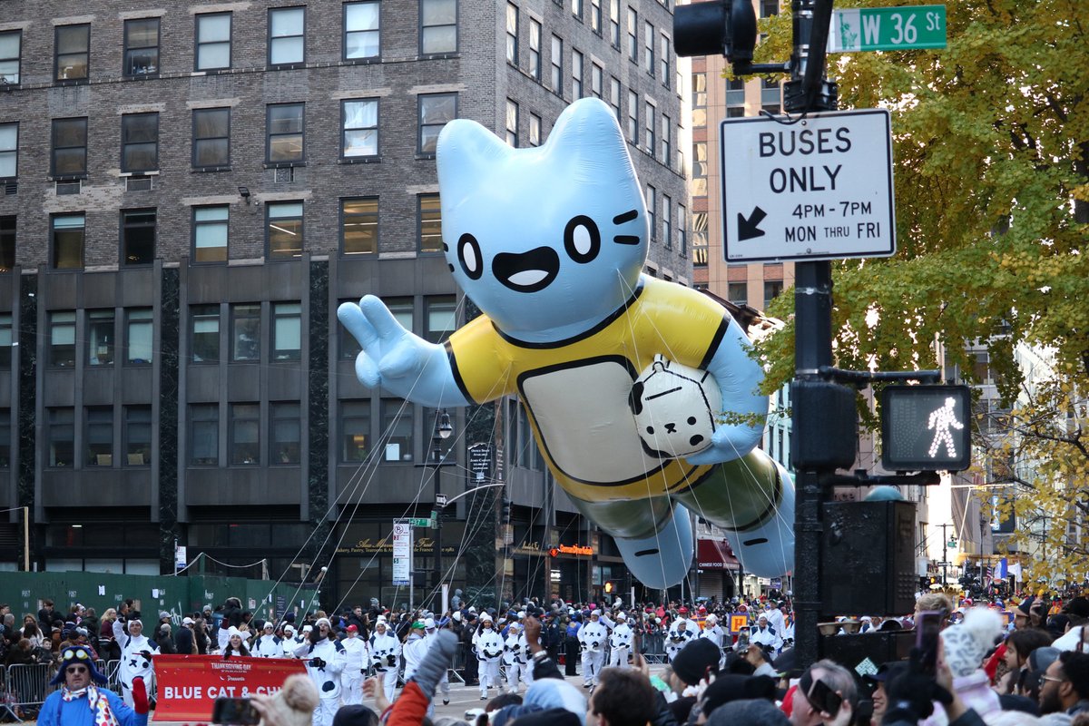 After searching far and wide... Blue and Chugs are reunited at last.

We LOVE the cats💙