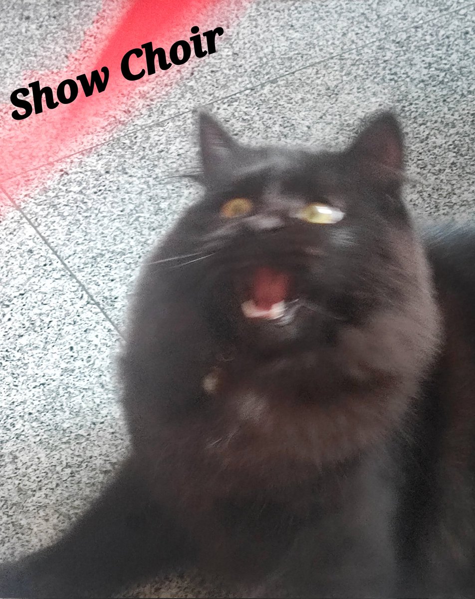 LoafJan's tweet photo. Ito reaction ko ng malaman kong ipeperform sa gym show choir https://t.co/OS6EOKWdTh