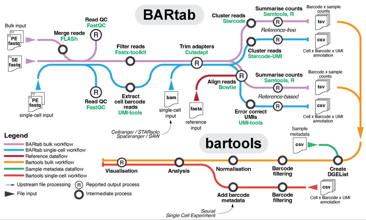 BARtab &amp; bartools: an integrated Nextflow pipeline and R package for the analysis of synthetic cellular barcodes in the genome and transcriptome biorxiv.org/content/10.110…