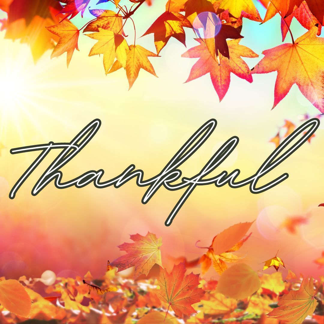 This November, we are filled with immense gratitude for your continuous support of IVAT's mission. 

Thank you for being the driving force behind our endeavors. Your commitment and collaborative efforts drive our shared journey towards a brighter tomorrow.