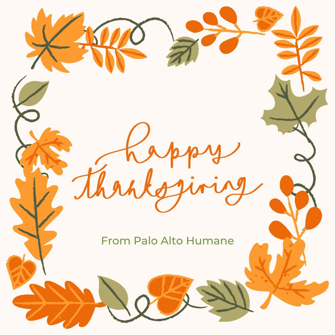 PAHS's tweet photo. 🍁We at Palo Alto Humane wish our friends, supporters, and their animal companions a happy and safe Thanksgiving! 🍂 https://t.co/99YMPyF4RW