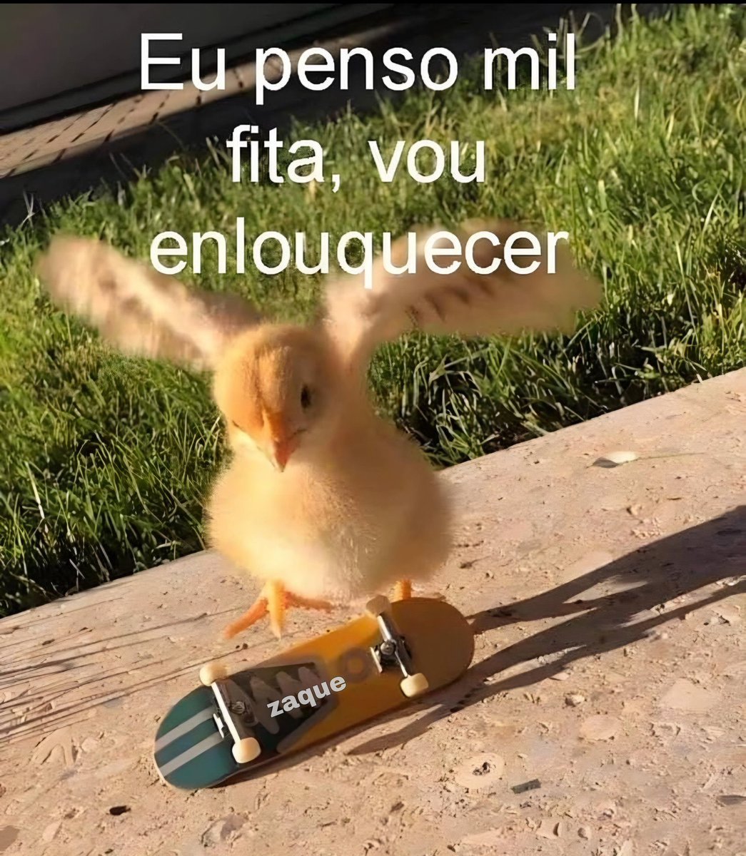 shitpostverdade's tweet photo. https://t.co/HMosCNxxHR